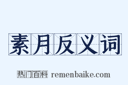 素月反义词是什么意思的图片